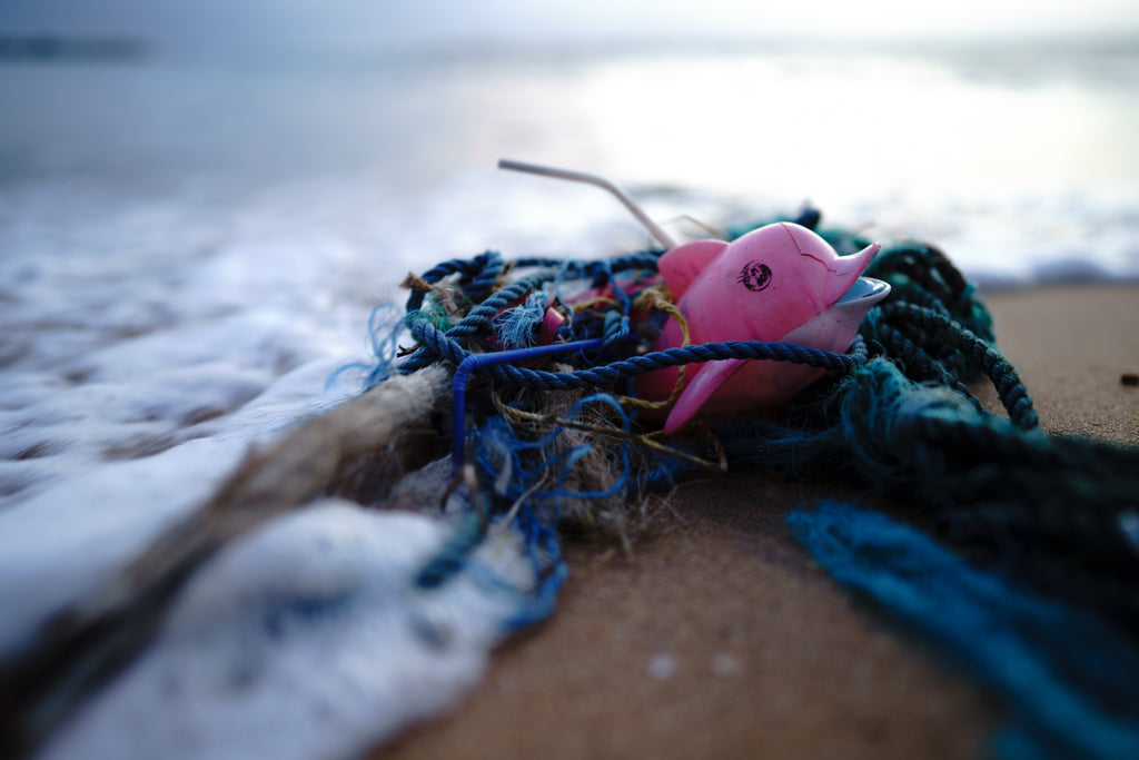 Waves of Waste: The impact of plastic waste on marine wildlife